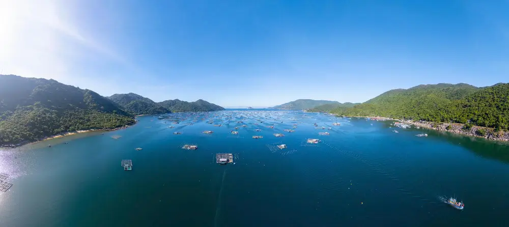 Intercept Technology™ - Protegiendo productos alimenticios. Intercept Technology™ - Empaque de alimentos sostenible.