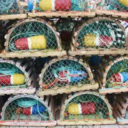 Intercept Technology™ - Defendiendo contra ESD y degradación. Intercept Technology™ - Esenciales de empaque de alimentos.