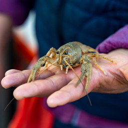 Intercept Technology™ - Protegiendo productos contra ESD y corrosión. Intercept Technology™ - Excelencia en empaque de alimentos.