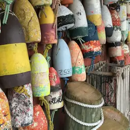 Intercept Technology™ - Protegiendo contra ESD y corrosión. Intercept Technology™ - Estándares de empaque de alimentos.